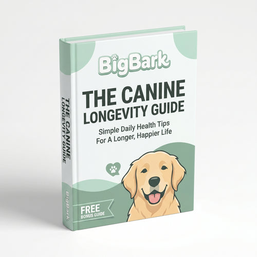 The Canine Longevity Guide